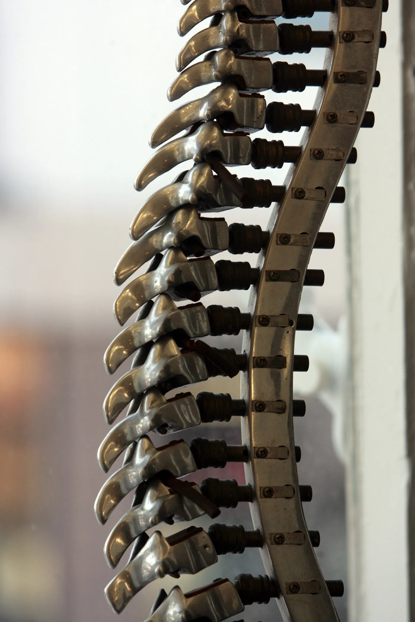 A sculpture of a spine standing against a pale wall