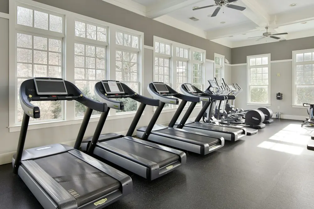 A row of empty treadmills in a bright gym