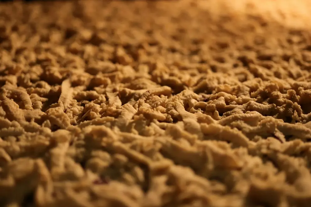 A close-up of carpet pile