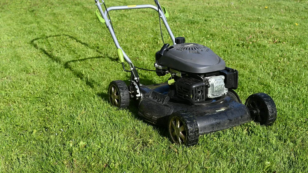 A push mower standing on a freshly cut lawn