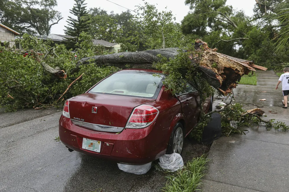 A fallen tree lying across a red car after a storm