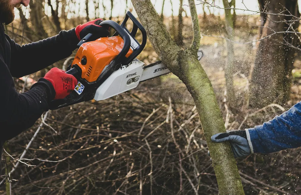 A chainsaw cutting through a pile of small branches