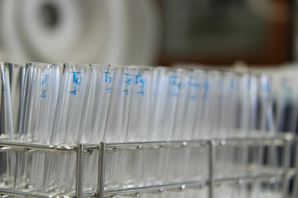Rows of empty glass test tubes in a rack